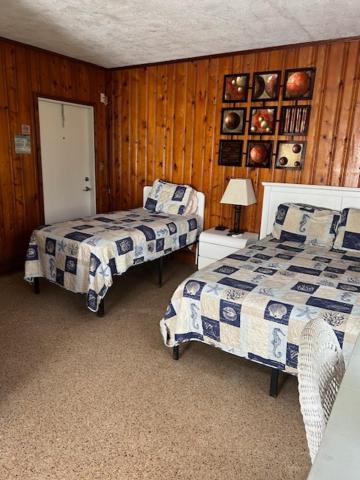 Seahorse Inn นิวสเมอร์นาบีช ภายนอก รูปภาพ