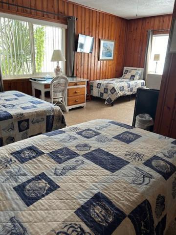 Seahorse Inn นิวสเมอร์นาบีช ภายนอก รูปภาพ
