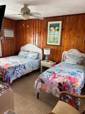 Seahorse Inn นิวสเมอร์นาบีช ภายนอก รูปภาพ